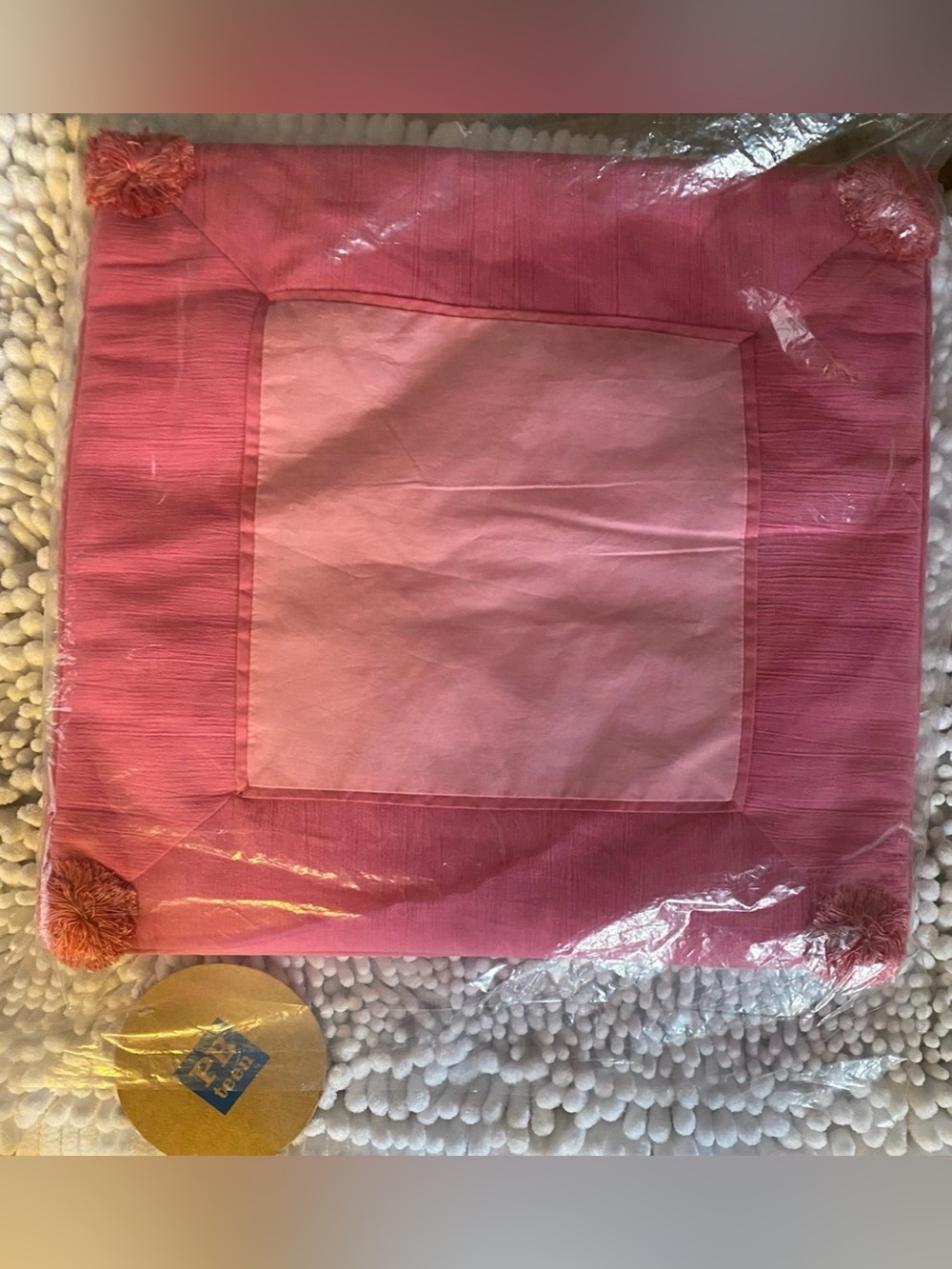 Pottery Barn Teen Pink Square Pillow Sham with Pom Poms